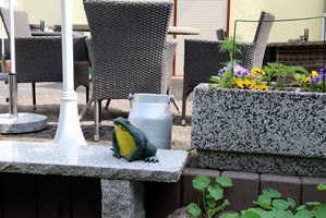 Gästegarten